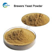 Promote Healthy 8013-01-2 CAS No. Dried Brewer Yeast